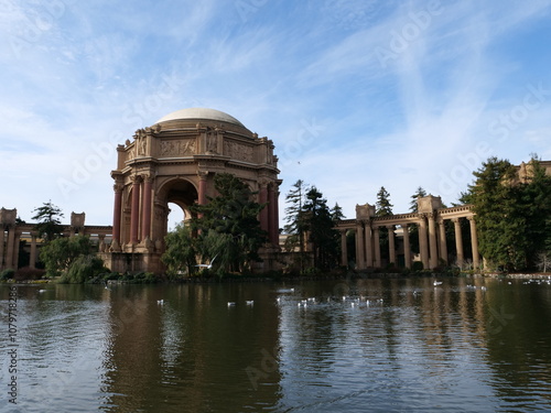 Swans are swiming in a pond at the Palace of Find Arts, San Francisco. photo