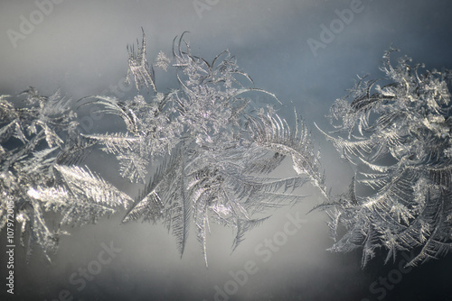 Delicate frost snowflake patterns resembling feathers have formed on a window pane, creating a beautiful and intricate design