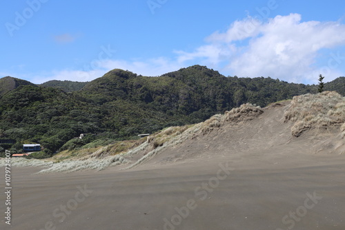 Fototapeta Naklejka Na Ścianę i Meble -  gray sand dunes and green forested hills rise up under bright blue skies and fluffy white clouds