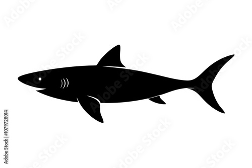 Shark Swimming | isolated vector illustration on white background