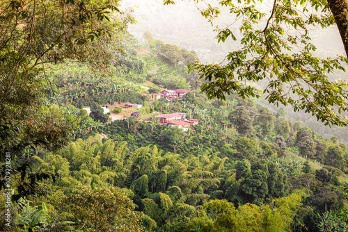 Beautiful zoomed in view on a Misty Mountain Village in Buenavista, Quindío, Colombia, bloomy, soggy yet orangy sunny day (October 2020)