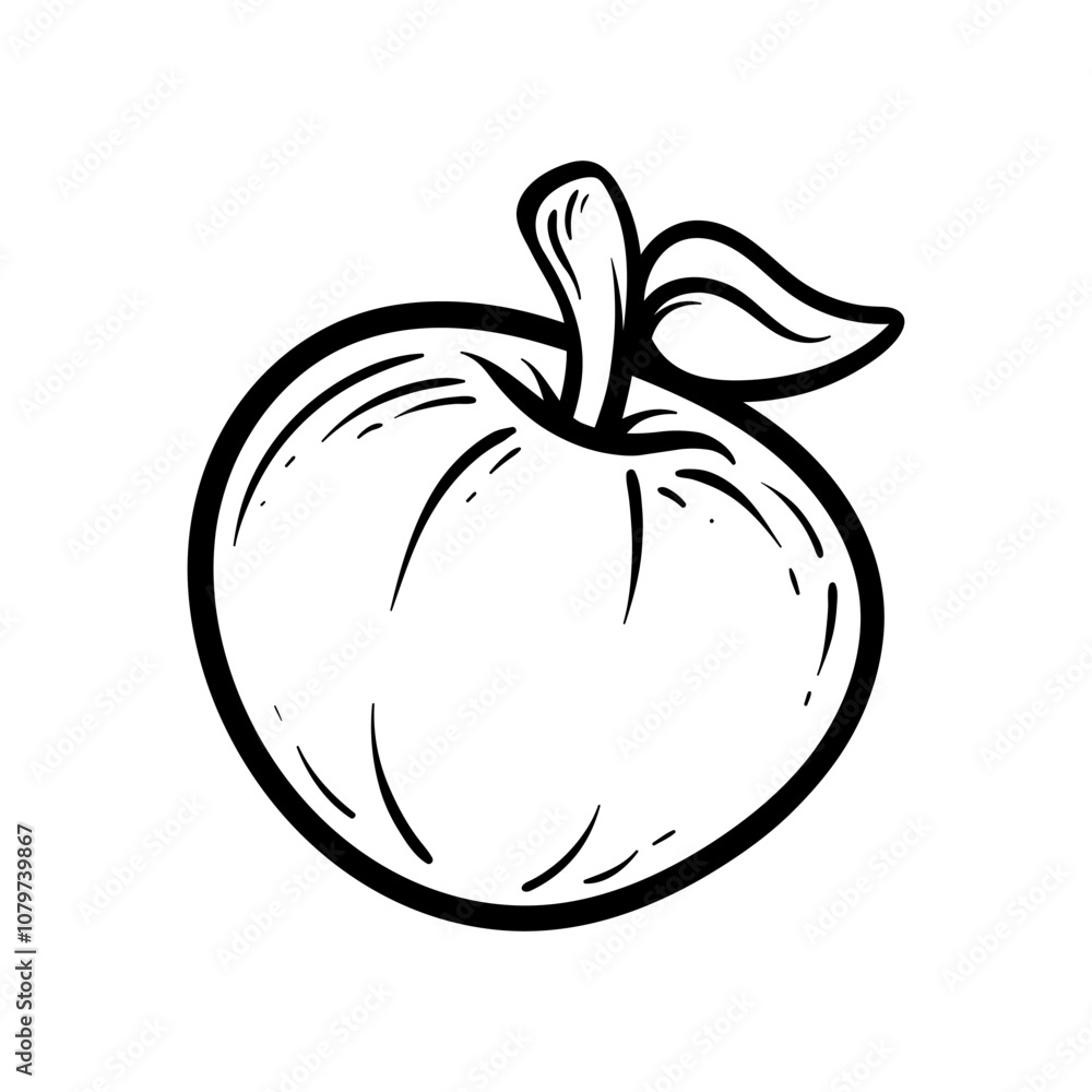 apple fruit isolated drawing coloring line art style sketch classic vintage design illustration