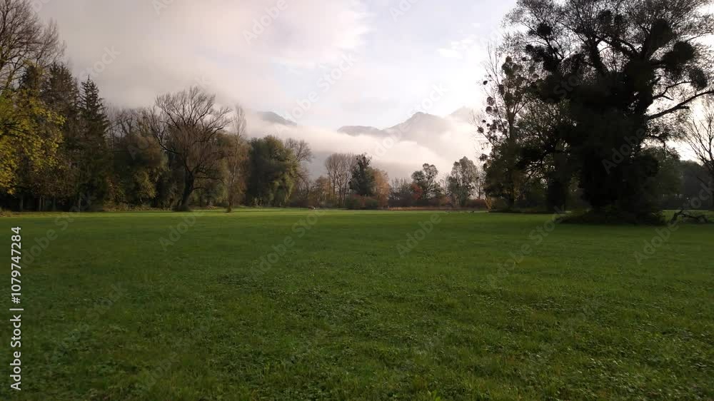 Green grass aerial with view of autumn color forest, mountains covered in fog Green grass aerial with view of autumn color forest, mountains covered in fog