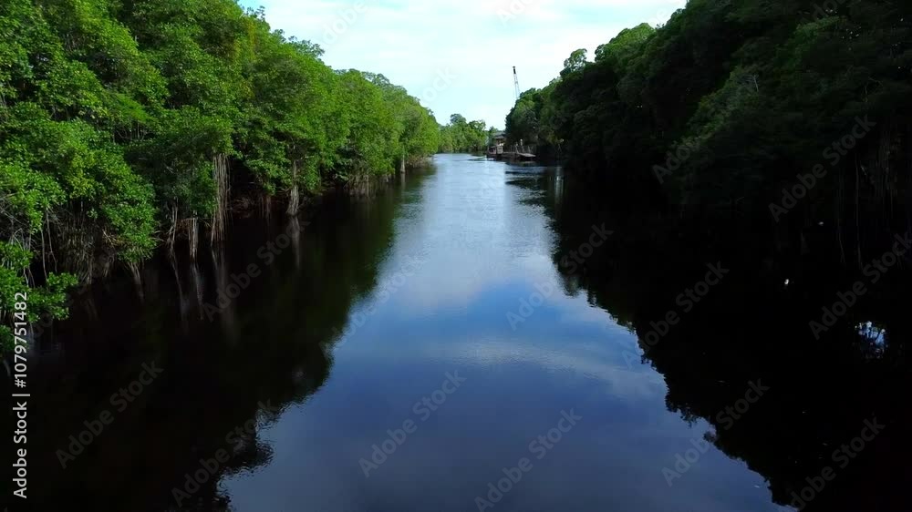 Video shot of calm river in the middle of rainforest and blue sky reflected. Corozal, Belize. Video shot of calm river in the middle of rainforest and blue sky reflected. Corozal, Belize.