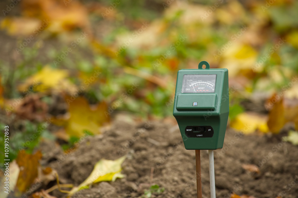 Soil moisture meter in garden monitors moisture level amidst autumn leaves and soil