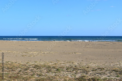 Wallpaper Mural 渥美半島の砂浜と太平洋 Torontodigital.ca