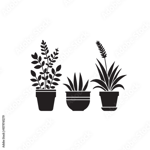 Tree silhouette with tree pot. Indoor tree silhouette. Small tree vector silhouette black and white.