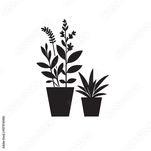 Tree silhouette with tree pot. Indoor tree silhouette. Small tree vector silhouette black and white.