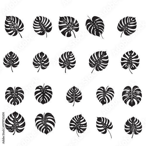 Tropical leaves set vector silhouette black and white.