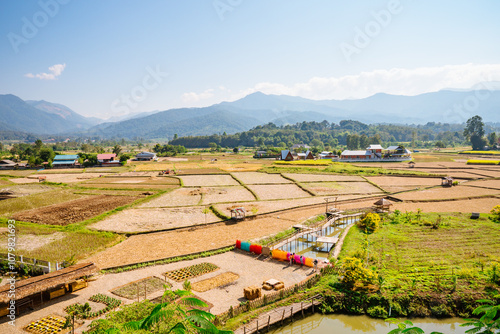 Scenic Beautiful Morning at mix farming in Pua District, Nan Province, Thailand