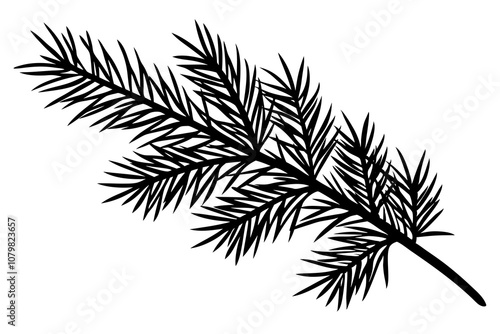 Christmas tree branch vector illustration on white background.