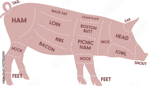 Farm pig silhouette with labeled pork cuts like bacon, ham, and ribs. Ideal for butcher diagrams, meat guides, and culinary visuals.