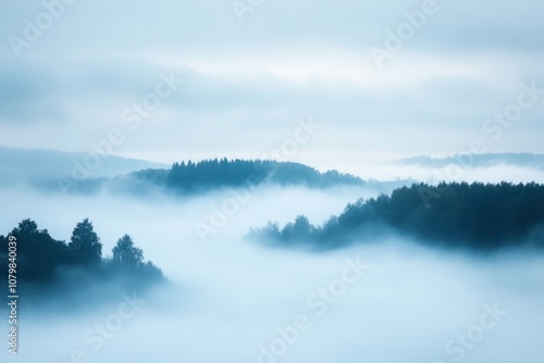 A misty morning landscape with rolling hills and a blanket of fog.