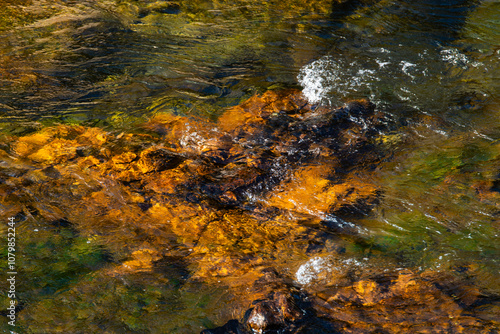 flowing water of the stream in the autumn valley