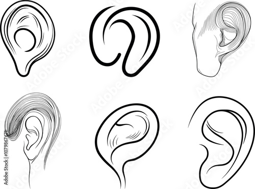 Illustrations of Various Ear Shapes and Sizes Showcasing Unique Anatomical Features