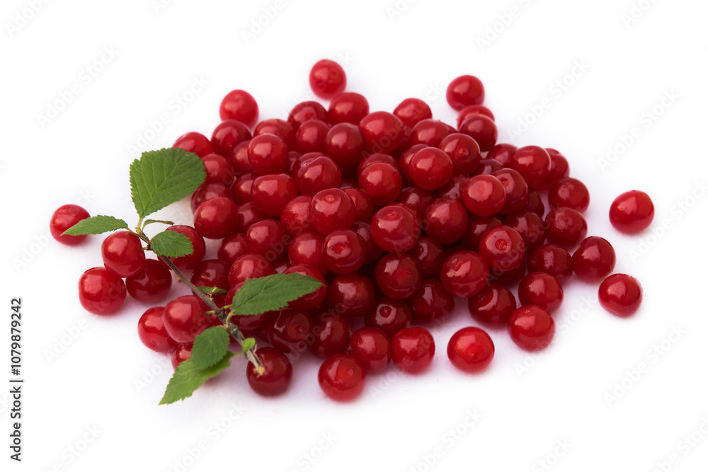 On a white background there is a pile of red ripe berries, A handful of berries decorated with a green leaf from a tree. A bunch of picked cherry berries on a separate background On a white background there is a pile of red ripe berries, A handful of berries decorated with a green leaf from a tree. A bunch of picked cherry berries on a separate background
