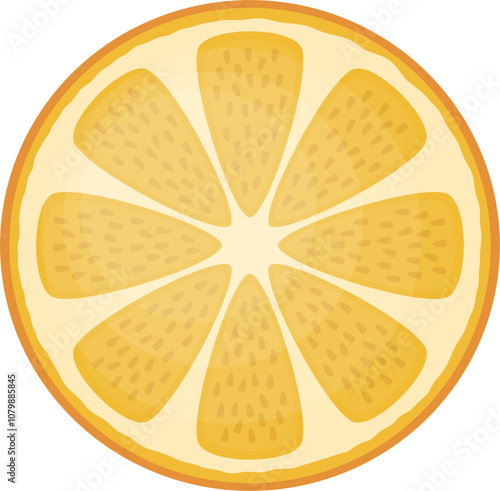 Slice of orange fruit vector illustration