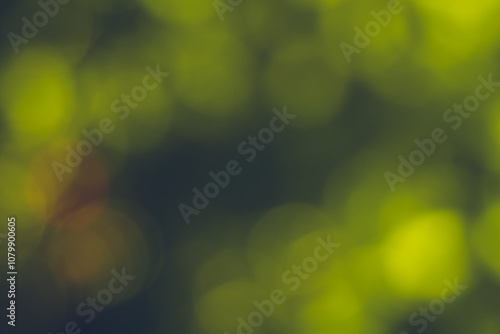billes de bokeh à dominance verte lumineuses en transparence, pour usage graphique