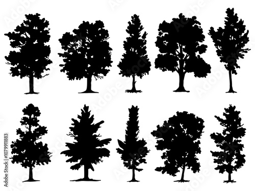 Collection Black Branch Tree and root or Naked trees silhouettes. Hand drawn isolated illustrations. Tree and roots LOGO style.
