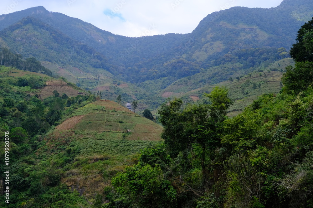 Fototapeta premium Scenic View of Green Fields and a Tree with Majestic Mountains on the Horizo