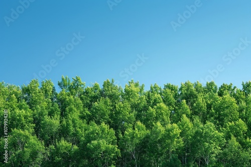 Dense green forest against a clear blue sky. AI generative. .