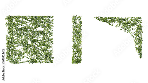 Ivy vines on wall isolated on transparent background. Modern illustration plant with green leaves, home interior, garden landscaping or floral design element.