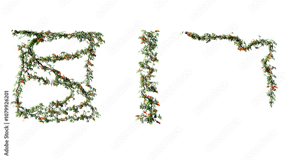 Ivy vines on wall isolated on transparent background. Modern illustration plant with green leaves, home interior, garden landscaping or floral design element. Ivy vines on wall isolated on transparent background. Modern illustration plant with green leaves, home interior, garden landscaping or floral design element.