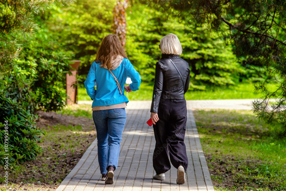 Two girlfriends walk along a path in the Park
Two girlfriends walk along a path in the Park