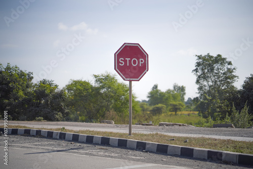 Stop sign on roadside, Clear sky and stop board, Traffic signage in rural area, Roadside warning stop board, Red octagonal stop signal, Road stop sign with greenery, Highway stop signage.

 photo