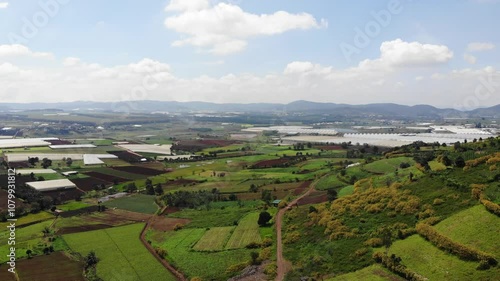 An aerial view, Rcai mountain in Duc Trong district, Lam Dong Vietnam, also known as Doi Mountain, in November Wild sunflowers bloom brightly on R'Chai mountain. 