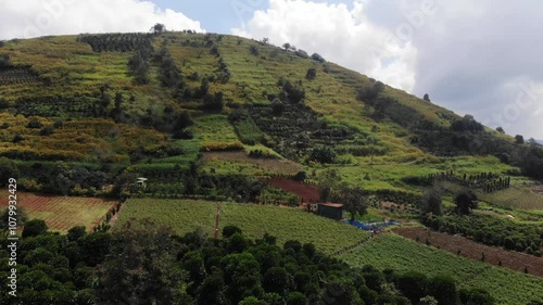 An aerial view, Rcai mountain in Duc Trong district, Lam Dong Vietnam, also known as Doi Mountain, in November Wild sunflowers bloom brightly on R'Chai mountain. 