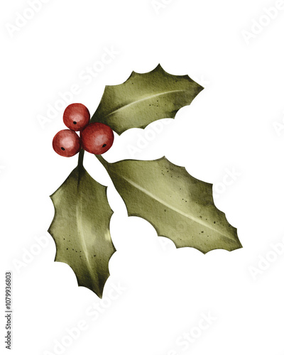 Holly leaves and berries with a delicate watercolor style on a neutral background photo