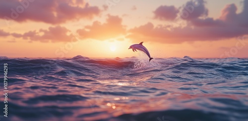 A dolphin leaps gracefully from the ocean at sunset, creating a stunning scene of natural beauty and vibrant colors against a serene backdrop.