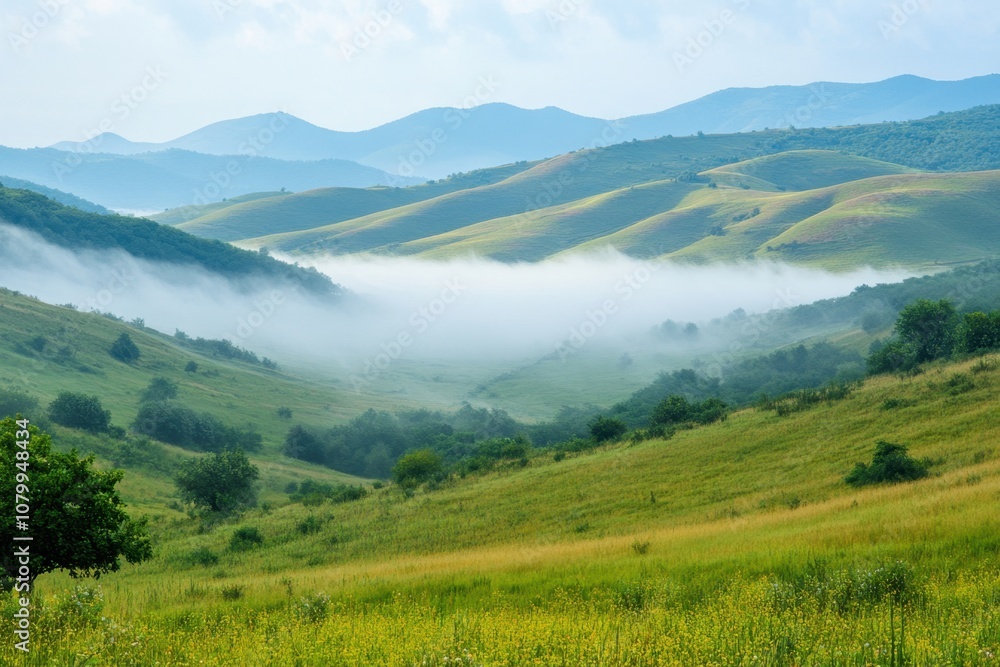 Fototapeta premium Rolling green hills with mist in the valley.