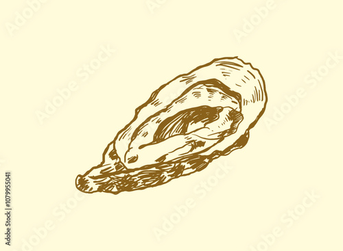set of seafood Oyster handdrawn illustration