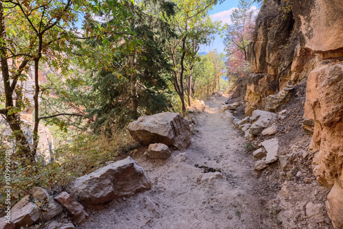 Below Coconino Overlook at Grand Canyon North Rim AZ photo