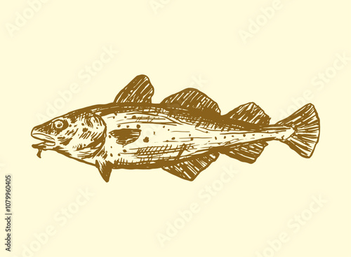 set of seafood Cod Fish handdrawn illustration