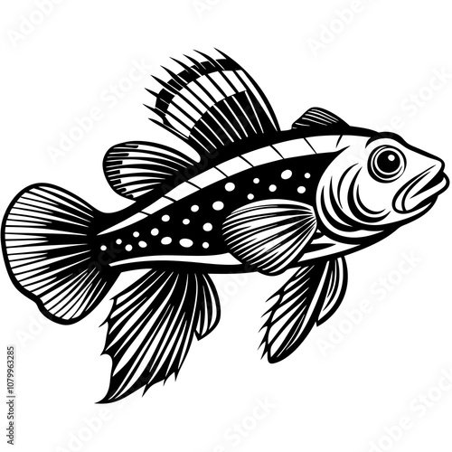 black and white goby fish