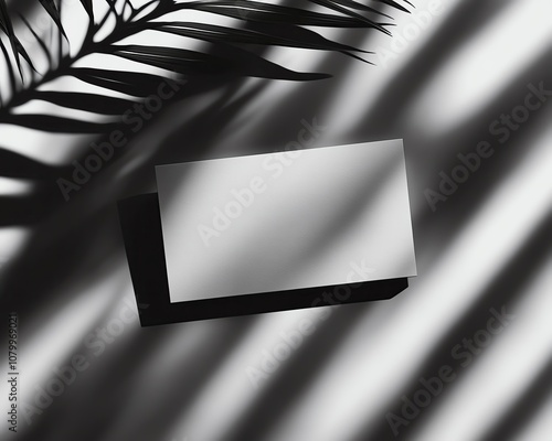 mockup visual preview mockup visual preview Minimalistic design with shadows and greenery. photo