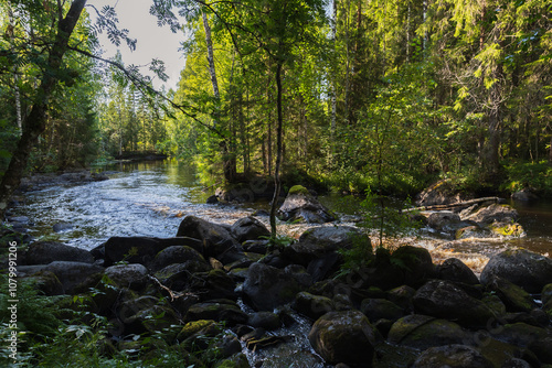 Wild Karelian landscape with a rocky river coast in the forest photo