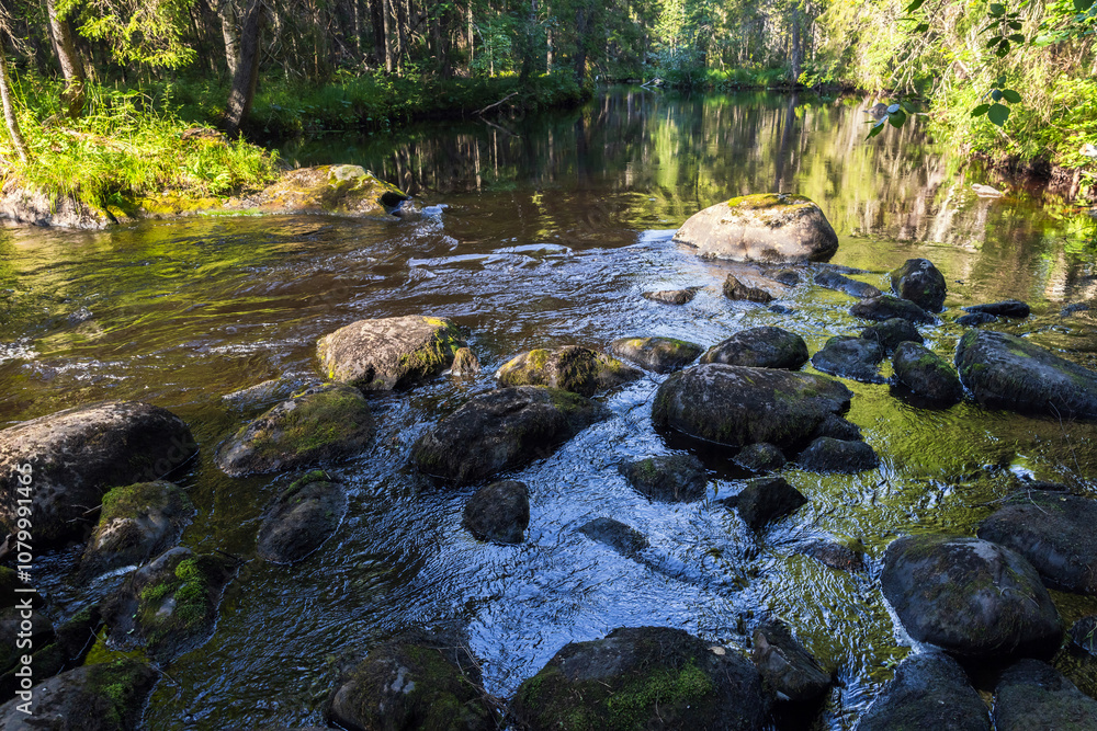 Karelian landscape with a rocky river coast in the forest Karelian landscape with a rocky river coast in the forest