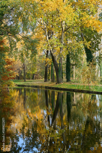 Water canal in a park during autumn