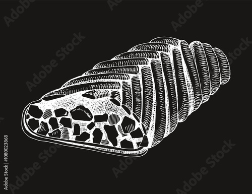 Apple strudel pastry hand drawn illustration