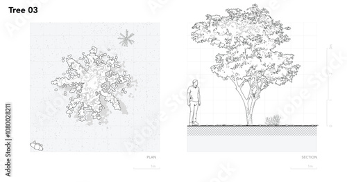 Architectural Drawings, Minimal style cad tree line drawing, Side view, set of section wetland forest outline for landscape design drawing. Vector illustration in seperate element
