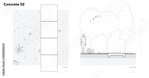 Architectural Drawings, Minimal style cad tree line drawing, Side view, set of section concrete pavement outline for landscape design drawing. Vector illustration in seperate element