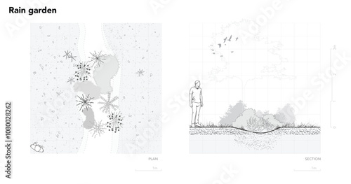 Architectural Drawings, Minimal style cad tree line drawing, Side view, set of section wetland forest outline for landscape design drawing. Vector illustration in seperate element