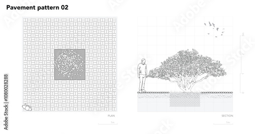 Architectural Drawings, Minimal style cad tree line drawing, Side view, set of section wetland forest outline for landscape design drawing. Vector illustration in seperate element