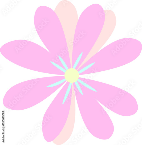 flower type daisy, Bellis