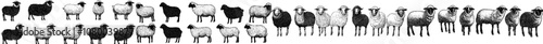 The sheep farm animal silhouettes set comes with a large pack of modern silhouette designs on a white background.