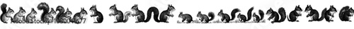 Set of squirrel silhouettes on white background with a modern design